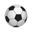 泸州队